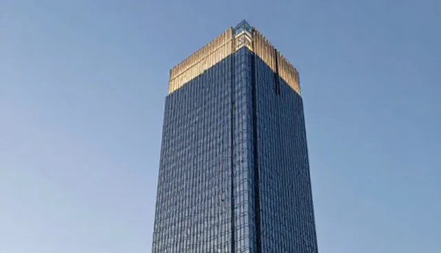 技术支持优化策略的适用场景与限制分析